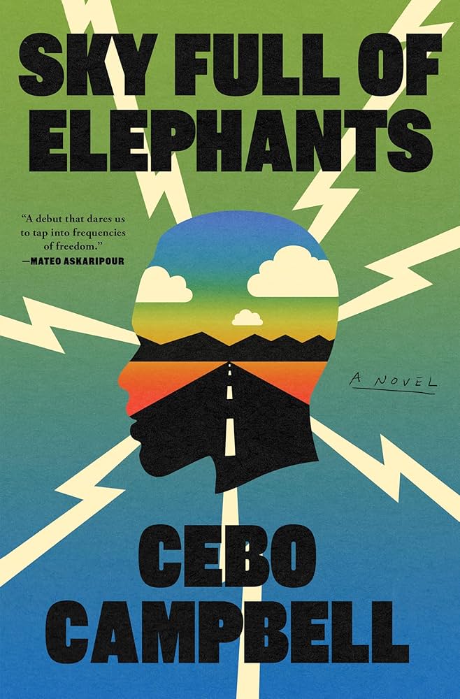Sky full of elephants book cover